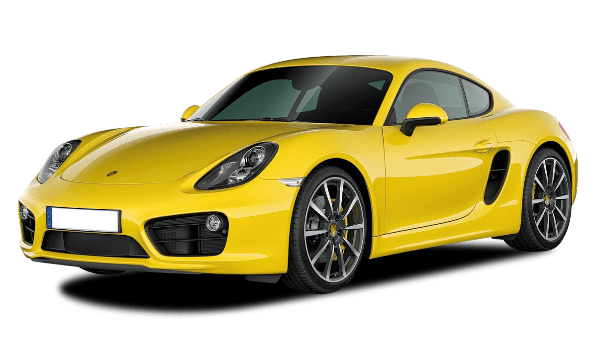 981 от 2013
