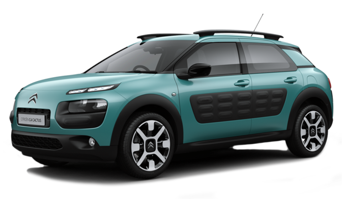 С4 Cactus от 2014