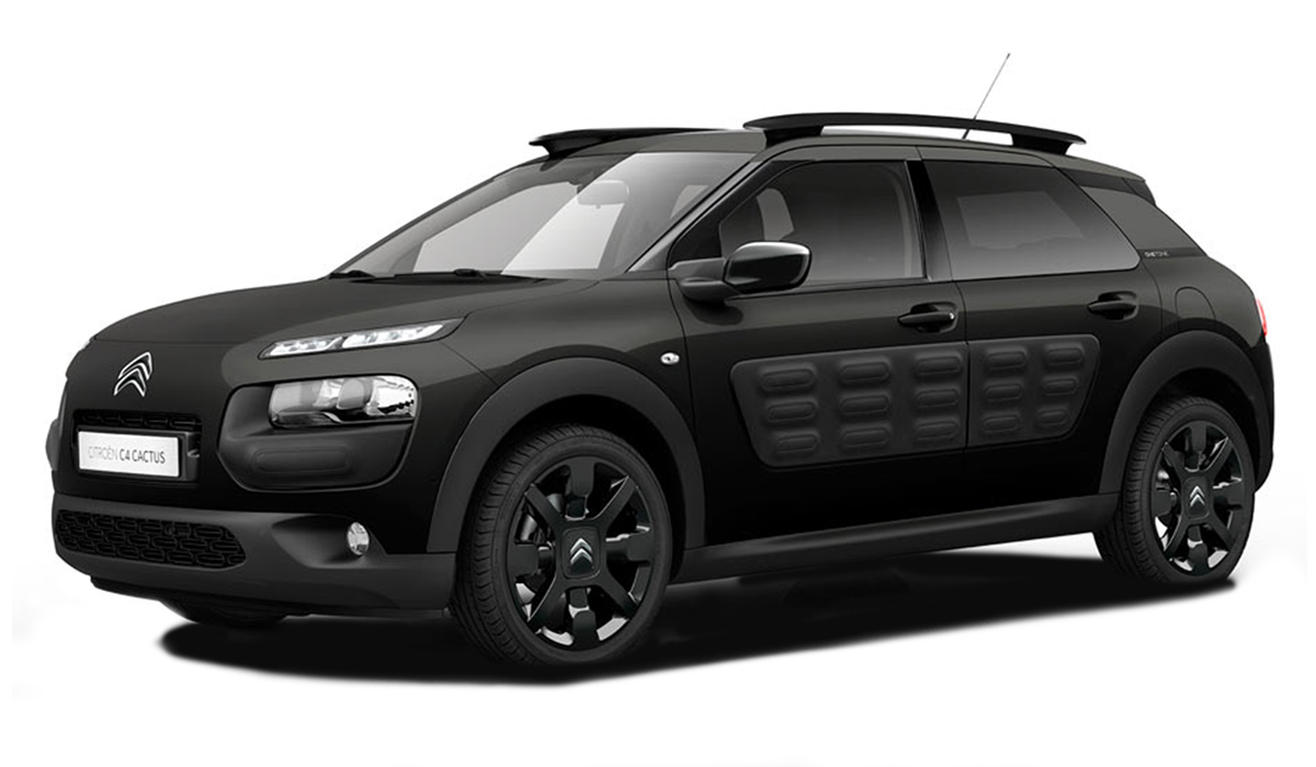 С4 Cactus от 2017